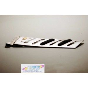 LAMINA PROTEC BMW F 650 CS (SCARVER) 2000/2005