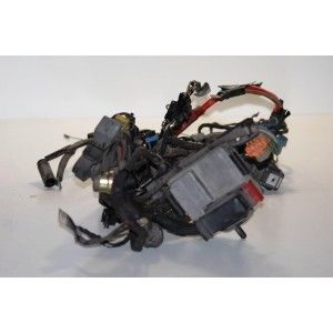 INST. ELEC. BMW F 650 CS (SCARVER) 2000/2005