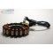 STATOR