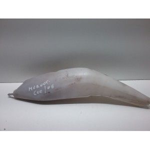 BOTELLA DE EXPANSI&Oacute;N HONDA HORNET 600 2008